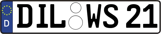 DIL-WS21