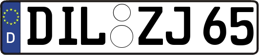 DIL-ZJ65