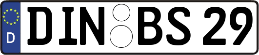 DIN-BS29