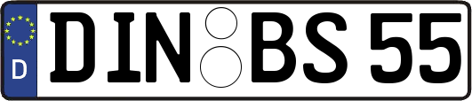 DIN-BS55