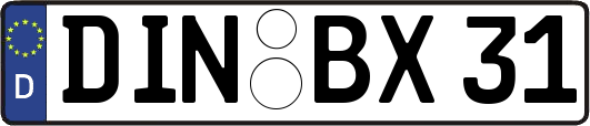 DIN-BX31