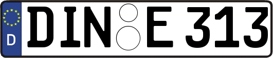 DIN-E313