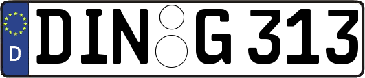 DIN-G313
