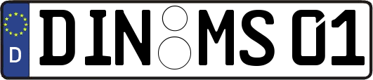 DIN-MS01
