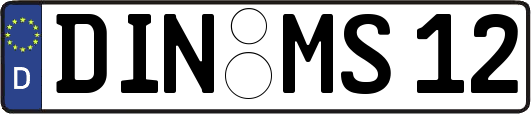DIN-MS12