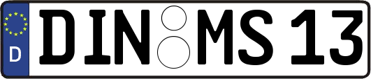 DIN-MS13