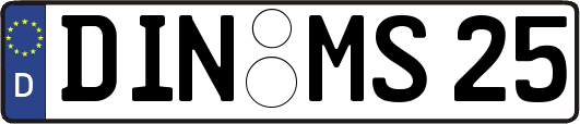 DIN-MS25