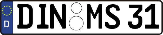 DIN-MS31