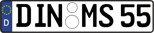 DIN-MS55