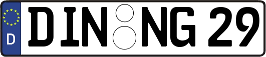 DIN-NG29