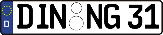 DIN-NG31