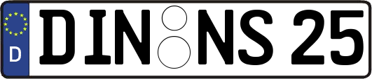 DIN-NS25