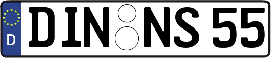 DIN-NS55