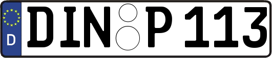 DIN-P113