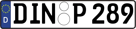 DIN-P289