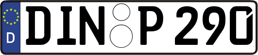 DIN-P290
