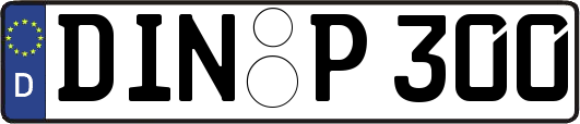 DIN-P300