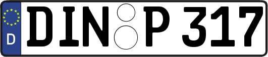 DIN-P317