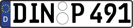 DIN-P491