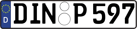 DIN-P597