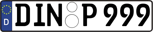 DIN-P999