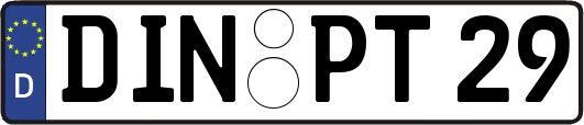 DIN-PT29