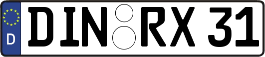 DIN-RX31