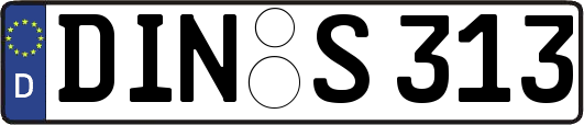 DIN-S313