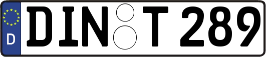DIN-T289