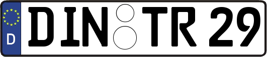 DIN-TR29