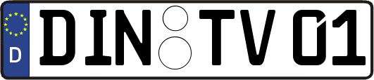 DIN-TV01