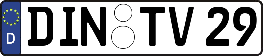 DIN-TV29