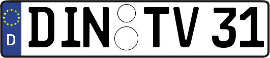 DIN-TV31