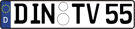 DIN-TV55