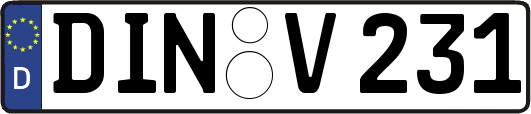 DIN-V231