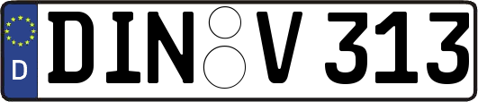 DIN-V313