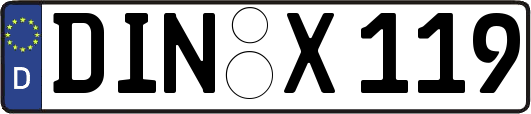 DIN-X119