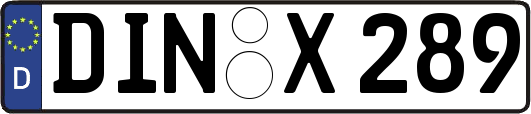 DIN-X289