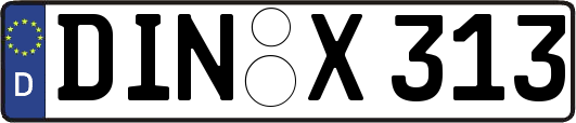DIN-X313
