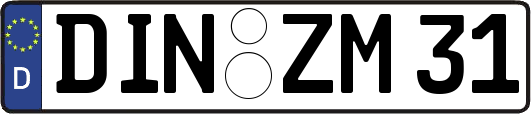 DIN-ZM31