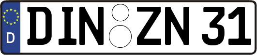 DIN-ZN31