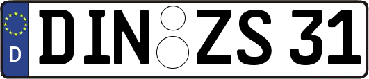 DIN-ZS31