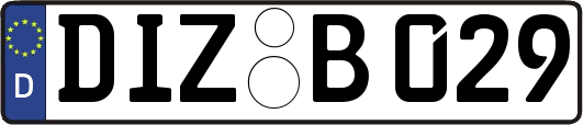 DIZ-B029