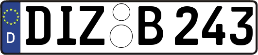 DIZ-B243