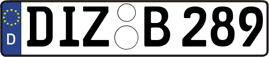 DIZ-B289