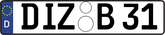 DIZ-B31