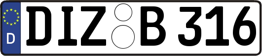 DIZ-B316
