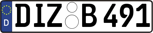 DIZ-B491