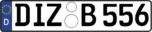 DIZ-B556