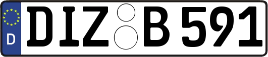 DIZ-B591